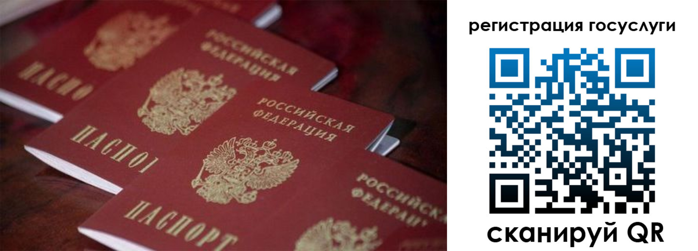 где прописаться в Апатитах